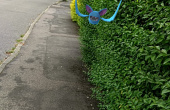 Pokémon GO - Screenshot 10 of 10