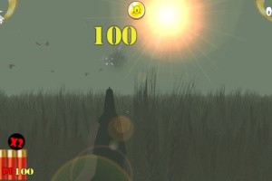Hurry Up! Bird Hunter Screenshot