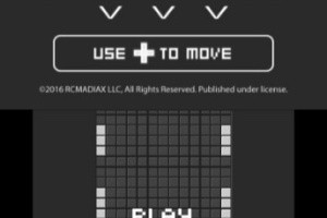 Brick Race Screenshot