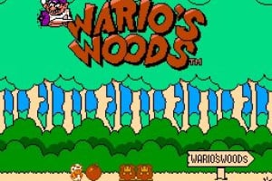 Wario's Woods Screenshot