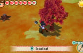 Story of Seasons: Trio of Towns - Screenshot 10 of 10