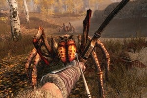 The Elder Scrolls V: Skyrim Screenshot