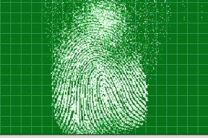 Apollo Justice: Ace Attorney Screenshot