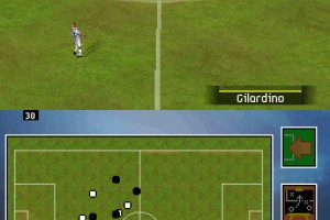 FIFA 08 Screenshot