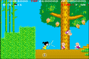 Arcade Archives Kid Niki Radical Ninja Screenshot
