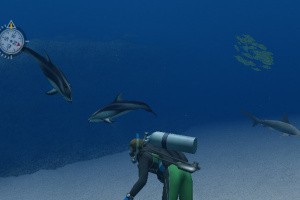 Endless Ocean Screenshot