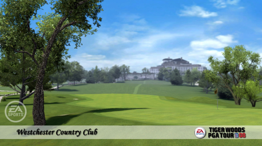 Tiger Woods PGA Tour 08 Review - Screenshot 1 of 3