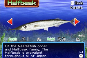 Fishing Master Screenshot