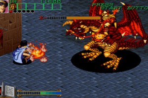 Johnny Turbo's Arcade: Wizard Fire Screenshot