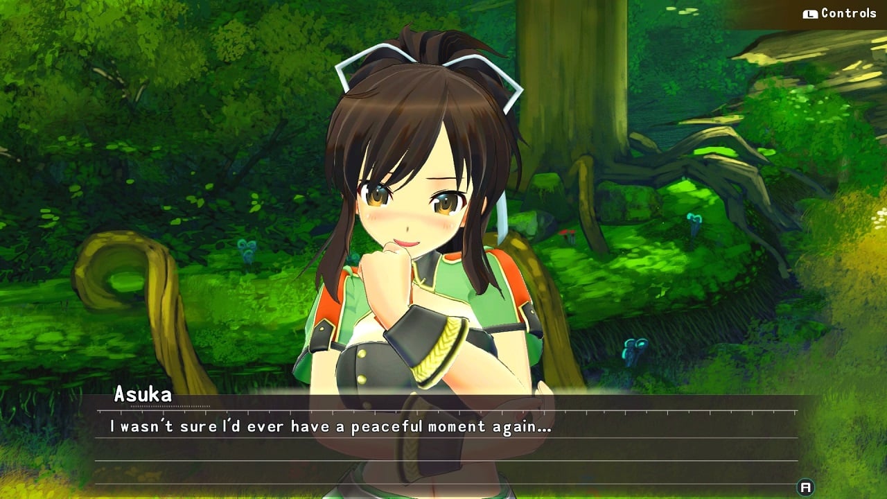 Senran Kagura Reflexions Review