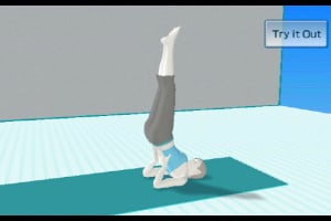 Wii Fit Screenshot
