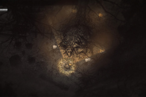 Darkwood Screenshot