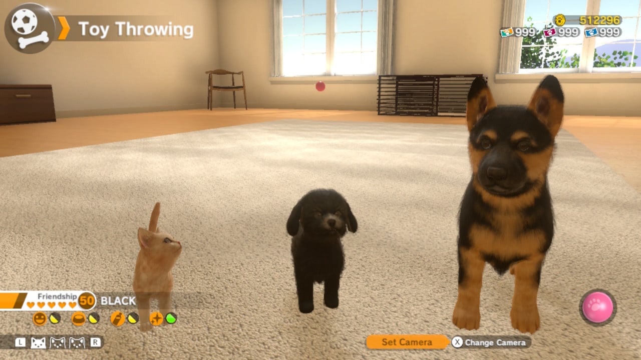 Little Friends: Dogs & Cats for the Nintendo Switch - Review
