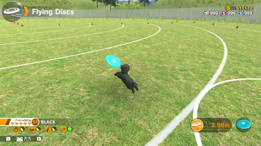 Little Friends: Dogs & Cats Review - Screenshot 5 of 5