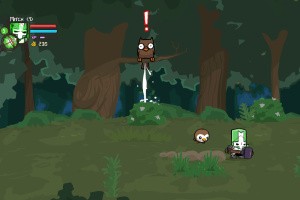 Castle Crashers Remastered Screenshot