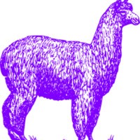 purplealpaca