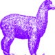purplealpaca