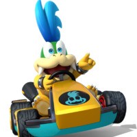 Larrykoopa18