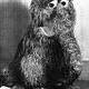 snuffy