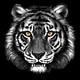 WATERTIGER1974