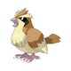Cpt_Pidgey