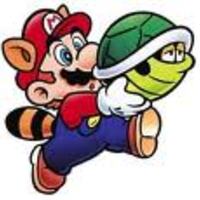 SuperMarioRacoon