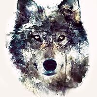 Jr-wolf