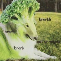 Brorkli