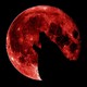 BloodWolfe