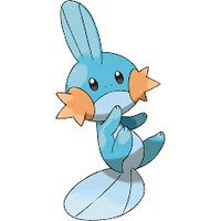 Mudkip52107-