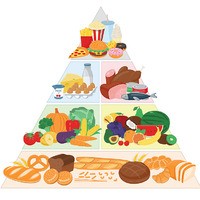 thefoodpyramid
