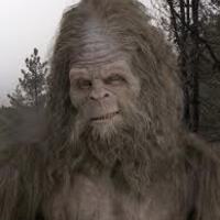 Sasquatch