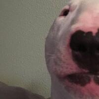 A_person_that_exists