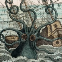 The-Giant-Octopus