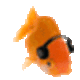 SeafTheFissh