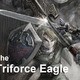 TheTriforcEagle