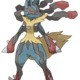 lucario34