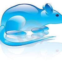GlassRat